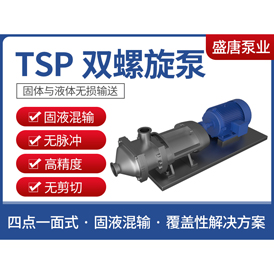 TSP˫������